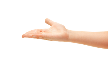 Image showing Children\'s hand, palm gesturing isolated on white studio background