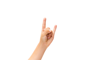 Image showing Children\'s hand, palm gesturing isolated on white studio background