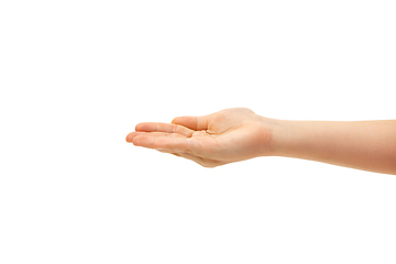 Image showing Children\'s hand, palm gesturing isolated on white studio background