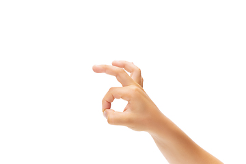 Image showing Children\'s hand, palm gesturing isolated on white studio background