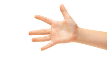 Image showing Children\'s hand, palm gesturing isolated on white studio background