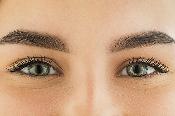 Image showing Close up of face of beautiful caucasian young woman, focus on eyes. Human emotions, facial expression, cosmetology, body and skin care concept.