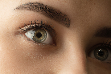 Image showing Close up of face of beautiful caucasian young woman, focus on eyes. Human emotions, facial expression, cosmetology, body and skin care concept.