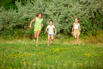 Image showing Kids, children running on meadow in summer\'s sunlight