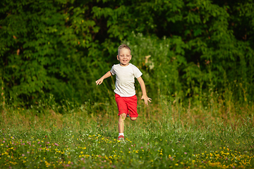 Image showing Kid, little boy running on meadow in summer\'s sunlight