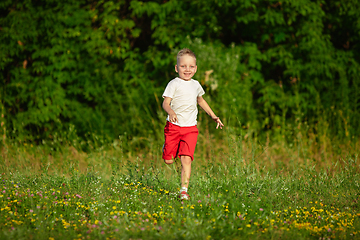 Image showing Kid, little boy running on meadow in summer\'s sunlight