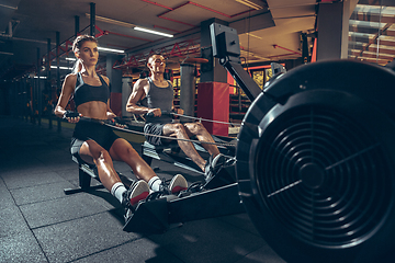 Image showing Beautiful young sporty couple training, workout in gym together