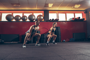 Image showing Beautiful young sporty couple training, workout in gym together