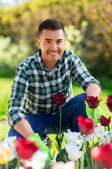 Image showing middle-aged man taking care of flowers at garden