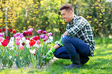 Image showing man with pruner taking care of flowers at garden