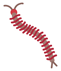 Image showing Simple vector illustration of a brown and red centipede on white