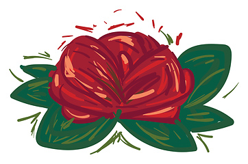 Image showing Rose flower with green leaves vector or color illustration