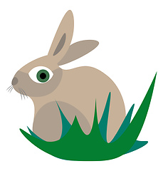 Image showing Rabbit illustration vector on white background 