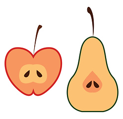 Image showing Half-cut apple and pear cartoon fruits vector or color illustrat