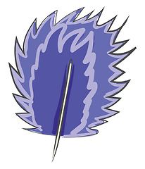 Image showing A fresh blue feather vector or color illustration