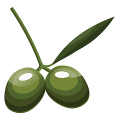 Image showing Cartoon of two green olives  with green leaf on a branch vector 