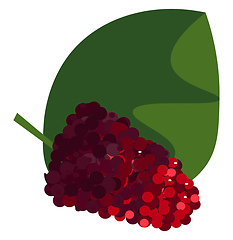 Image showing Bunch of mulberry fruits on a broad green leaf vector or color i