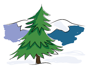 Image showing A green pine tree with the background of blue snow-covered mount