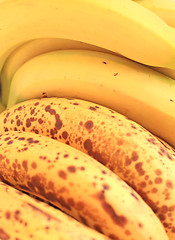 Image showing Bananas