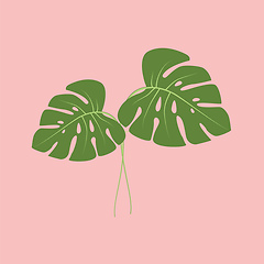Image showing A tropic plant vector or color illustration