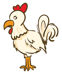 Image showing A white and red chicken vector or color illustration