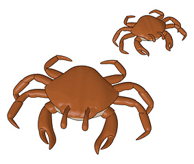 Image showing Lobster aquatic creature vector or color illustration