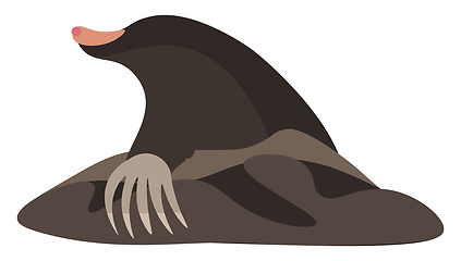 Image showing Clipart of the mammal mole vector or color illustration