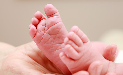 Image showing Newborn