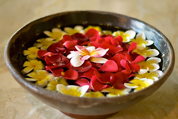 Image showing flower petals in a bowl at a spa