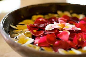 Image showing flower petals in a bowl at a spa