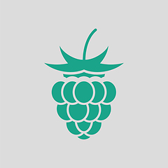 Image showing Raspberry icon