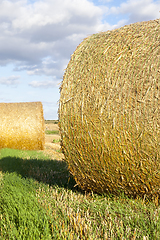 Image showing Straw straw