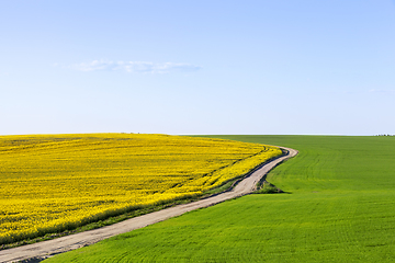 Image showing spring landscape