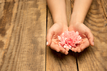 Image showing Human hands holding tender summer flower together isolated on wooden background with copyspace