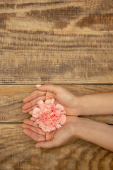 Image showing Human hands holding tender summer flower together isolated on wooden background with copyspace