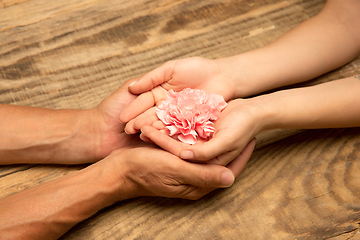 Image showing Human hands holding tender summer flower together isolated on wooden background with copyspace