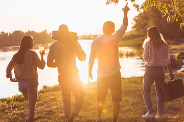 Image showing Group of friends walking down during picnic at the beach. Lifestyle, friendship, having fun, weekend and resting concept.