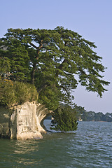 Image showing Matsushima extreme landscape