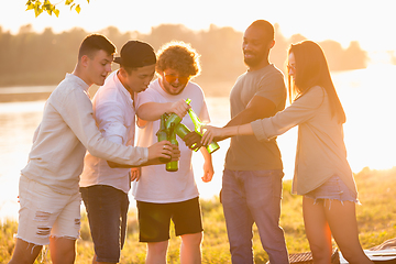 Image showing Group of friends clinking beer bottles during picnic at the beach. Lifestyle, friendship, having fun, weekend and resting concept.