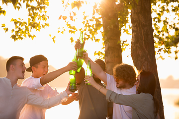 Image showing Group of friends clinking beer bottles during picnic at the beach. Lifestyle, friendship, having fun, weekend and resting concept.