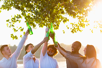 Image showing Group of friends clinking beer bottles during picnic at the beach. Lifestyle, friendship, having fun, weekend and resting concept.