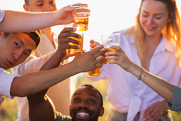 Image showing Group of friends clinking beer glasses during picnic at the beach. Lifestyle, friendship, having fun, weekend and resting concept.