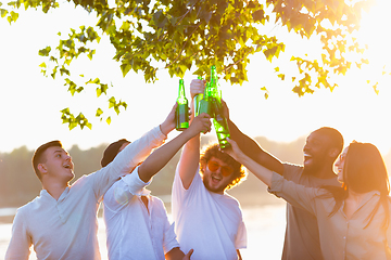 Image showing Group of friends clinking beer bottles during picnic at the beach. Lifestyle, friendship, having fun, weekend and resting concept.