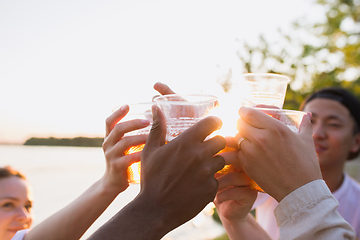 Image showing Group of friends clinking beer glasses during picnic at the beach. Lifestyle, friendship, having fun, weekend and resting concept.