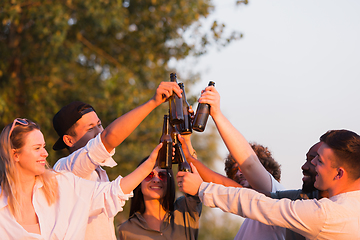 Image showing Group of friends clinking beer glasses during picnic at the beach. Lifestyle, friendship, having fun, weekend and resting concept.