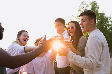 Image showing Group of friends clinking beer glasses during picnic at the beach. Lifestyle, friendship, having fun, weekend and resting concept.