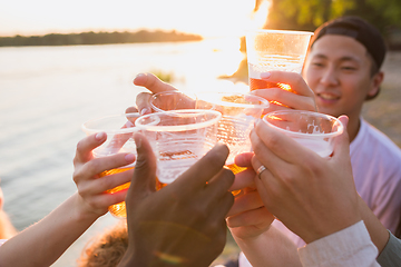 Image showing Group of friends clinking beer glasses during picnic at the beach. Lifestyle, friendship, having fun, weekend and resting concept.