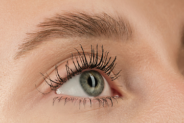 Image showing Close up of face of beautiful caucasian young woman, focus on eyes