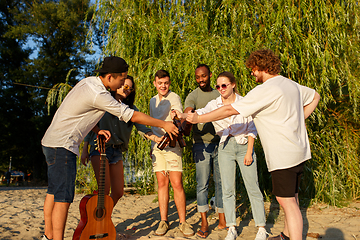 Image showing Group of friends clinking beer glasses during picnic at the beach. Lifestyle, friendship, having fun, weekend and resting concept.