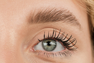 Image showing Close up of face of beautiful caucasian young woman, focus on eyes